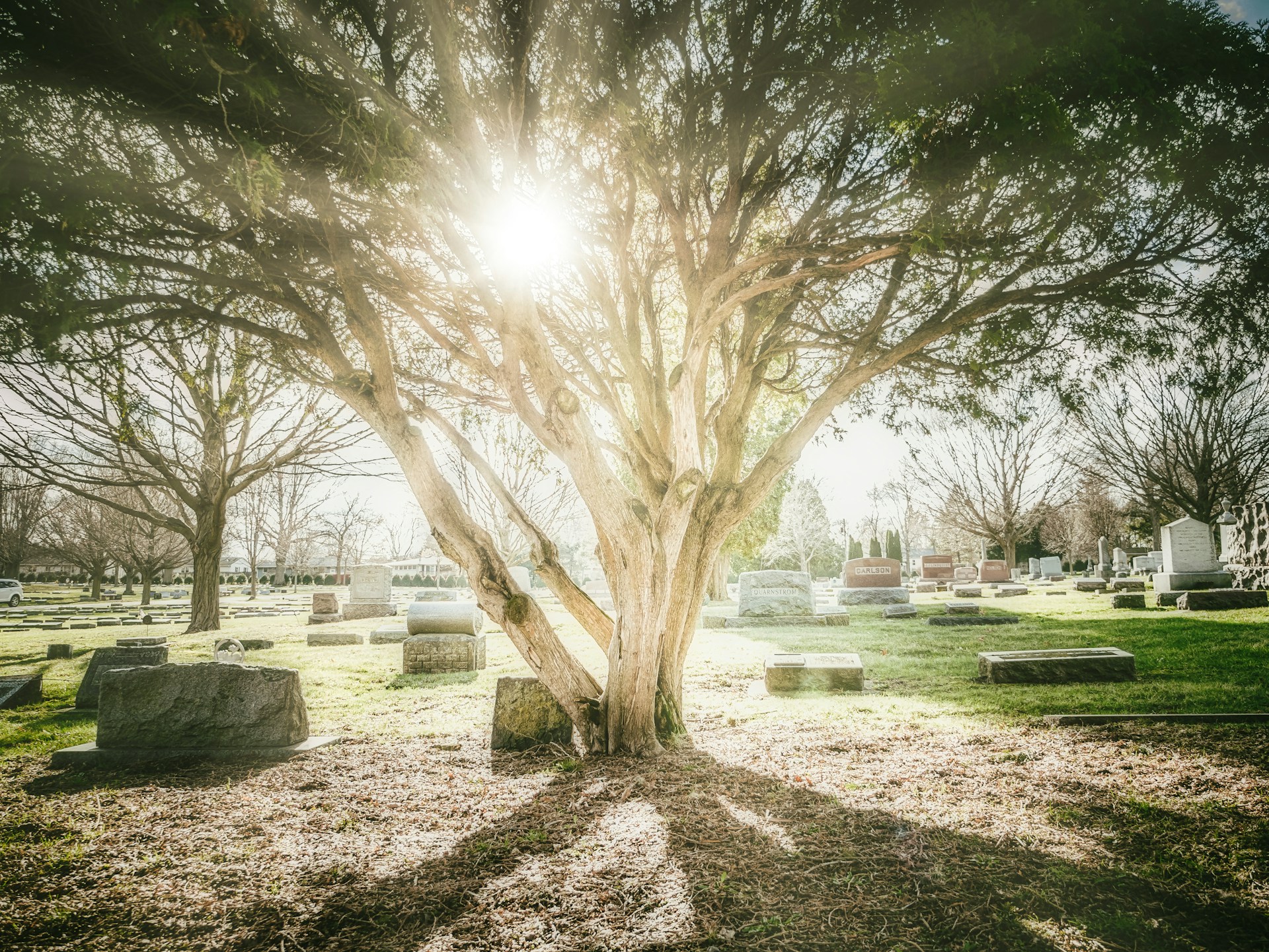 Allée paisible de cimetière arboré, protection sociale des salariés du secteur funéraire