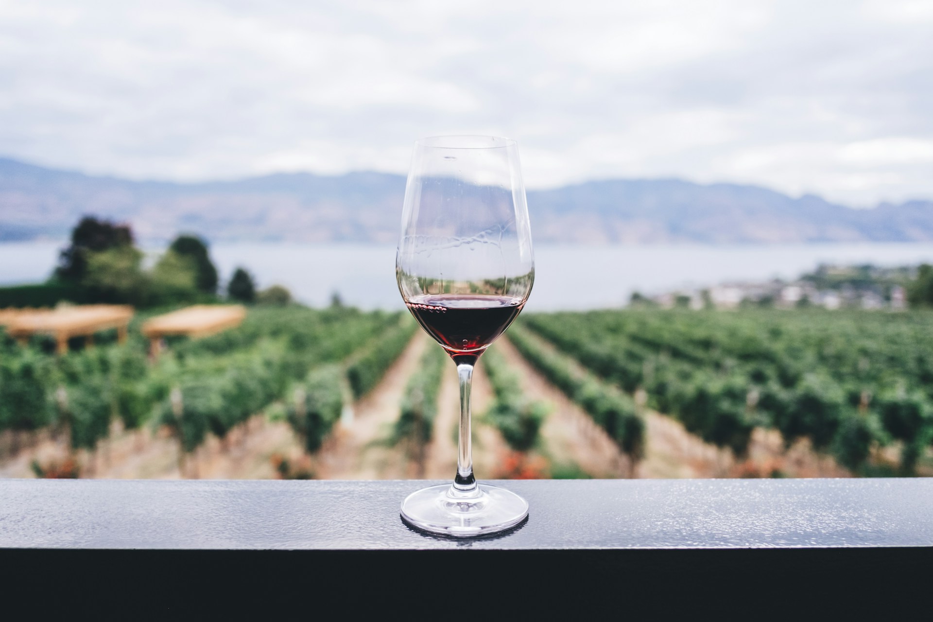 Chai et bouteilles d'un négociant en vins, mutuelle prévoyance vins spiritueux conforme à la convention collective IDCC 493
